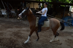 Tamanna Photos at Horse Riding Training (3)