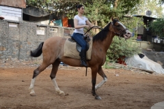 Tamanna Photos at Horse Riding Training (4)