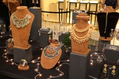 launches of Asha Kamal Modi’s Exclusive Jewelry Brand Art Karat (6)